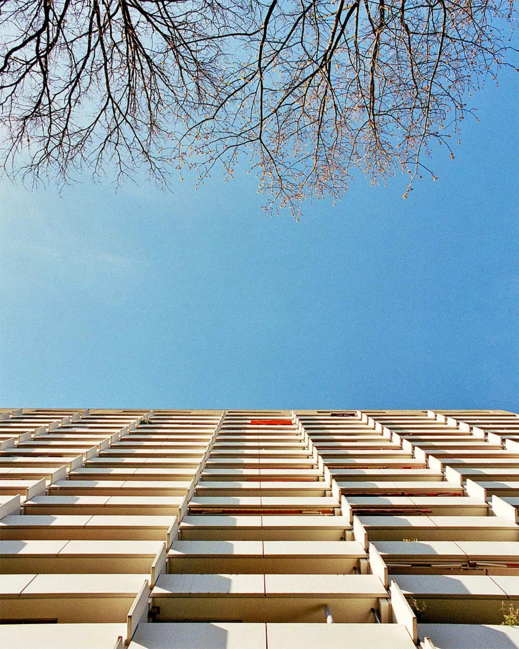 344290c1431f81c44022fceb796434ae097bda5c